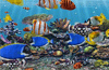 3D FISH!