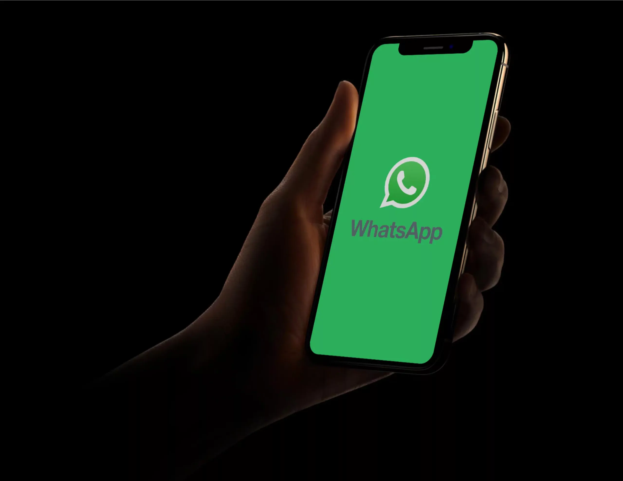 whatsapp3 scaled.jpg scaled